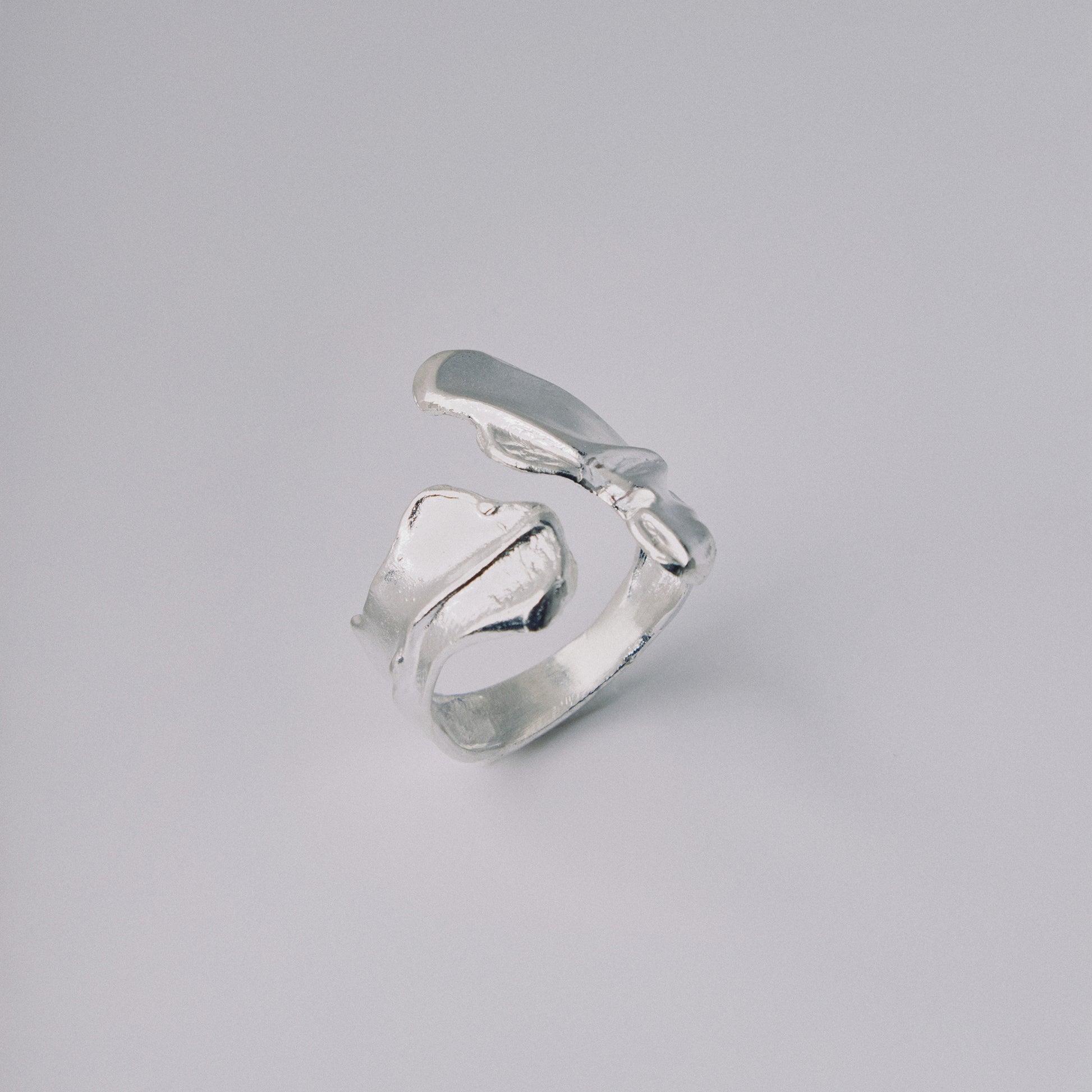 Silver ring on a gray background