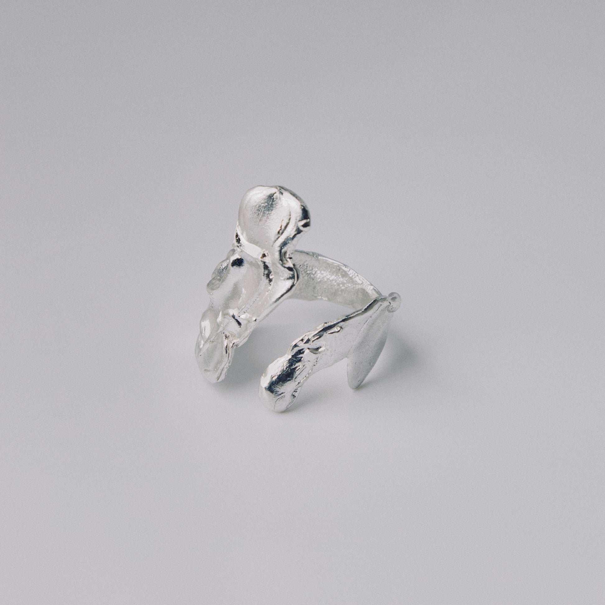Silver ring on a light gray background