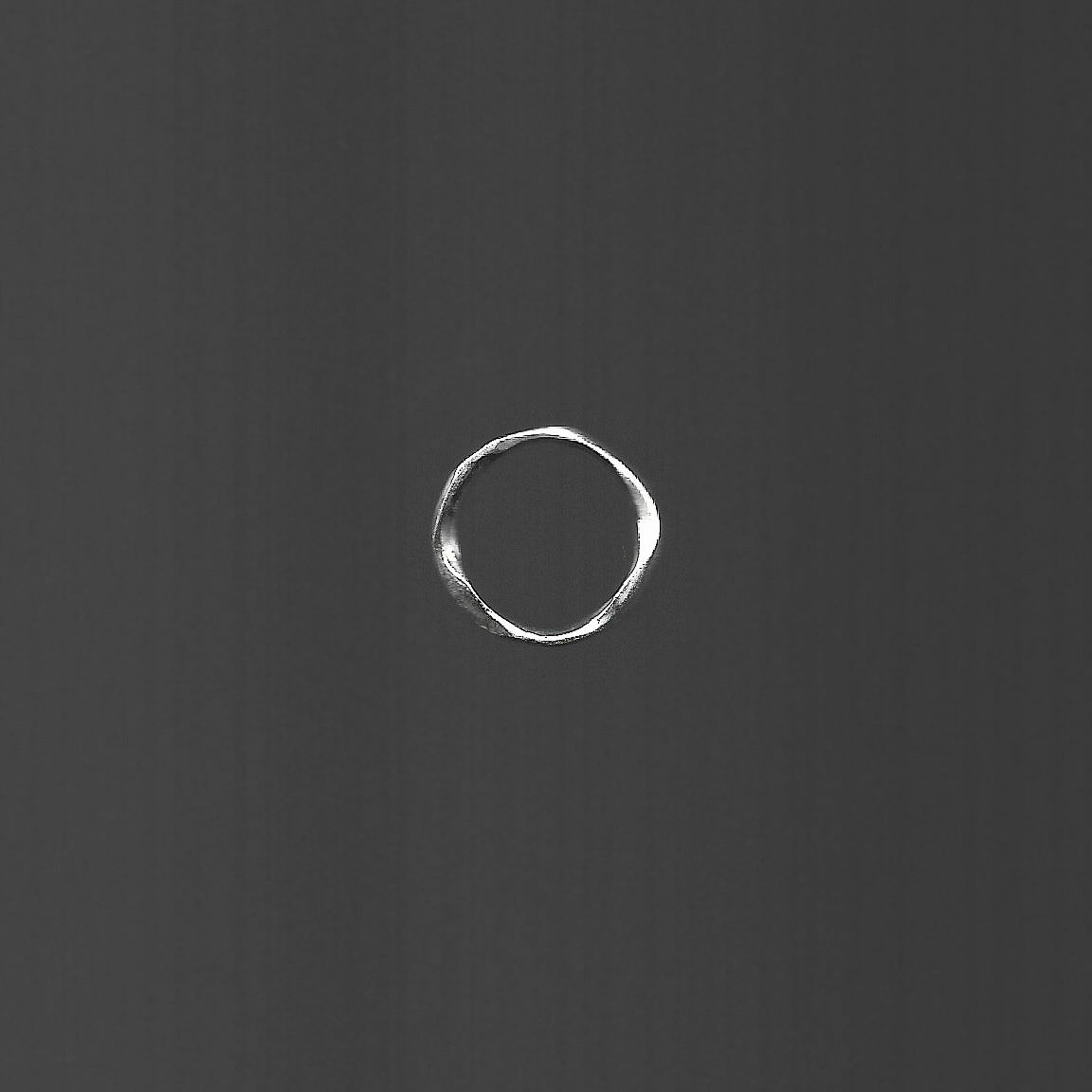 White circle on a dark gray background