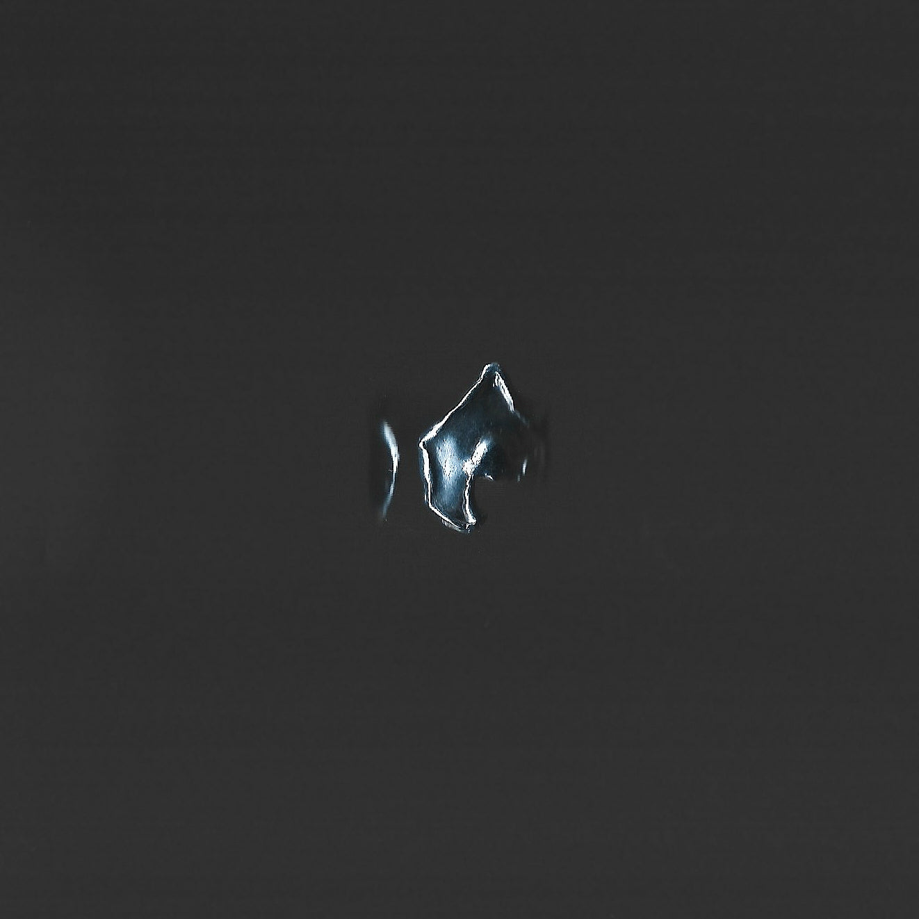 Small metallic fish-shaped object on a dark background