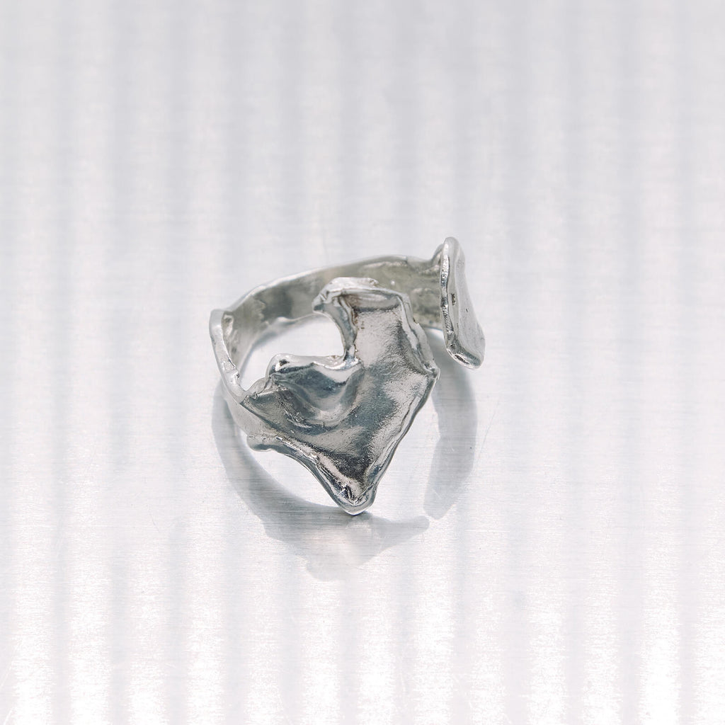Silver ring on a white background